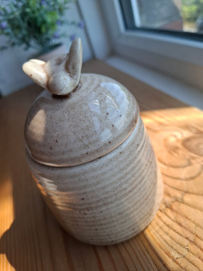 'Cunt' Upcycled Ceramic Bee Hive Pot