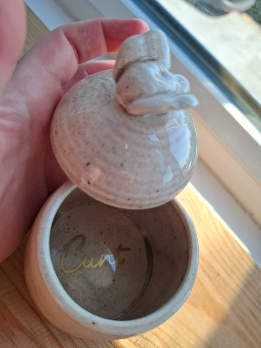 'Cunt' Upcycled Ceramic Bee Hive Pot