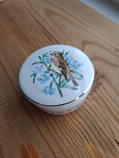 'Twat' Upcycled Bird (Life Is Sweet) Trinket Pot