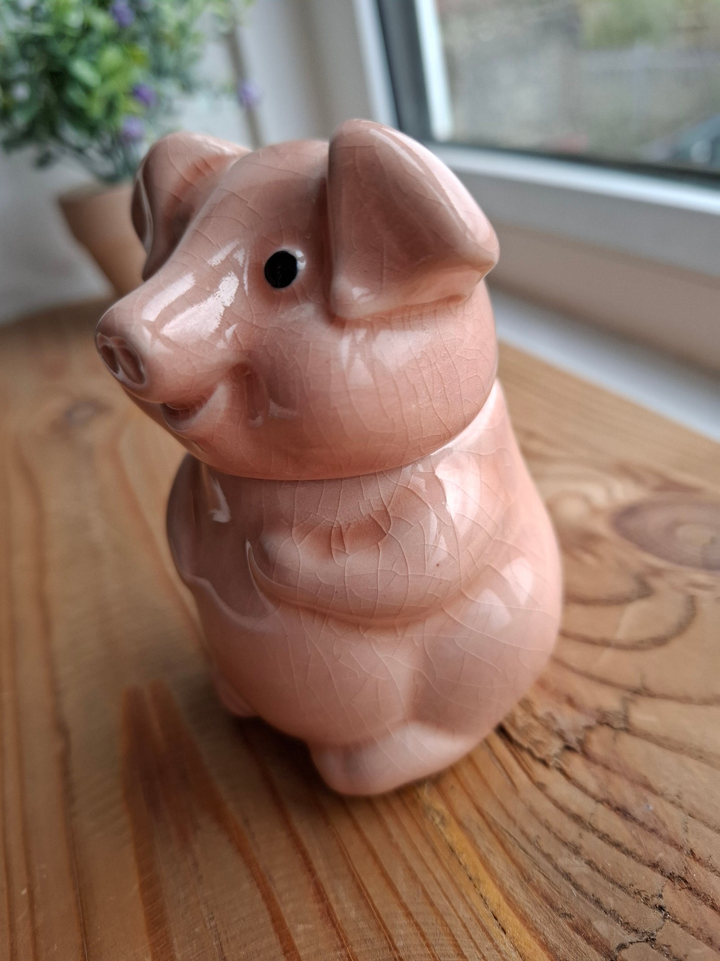 'Cunt' Upcycled Cute Crackly Pig Trinket Pot