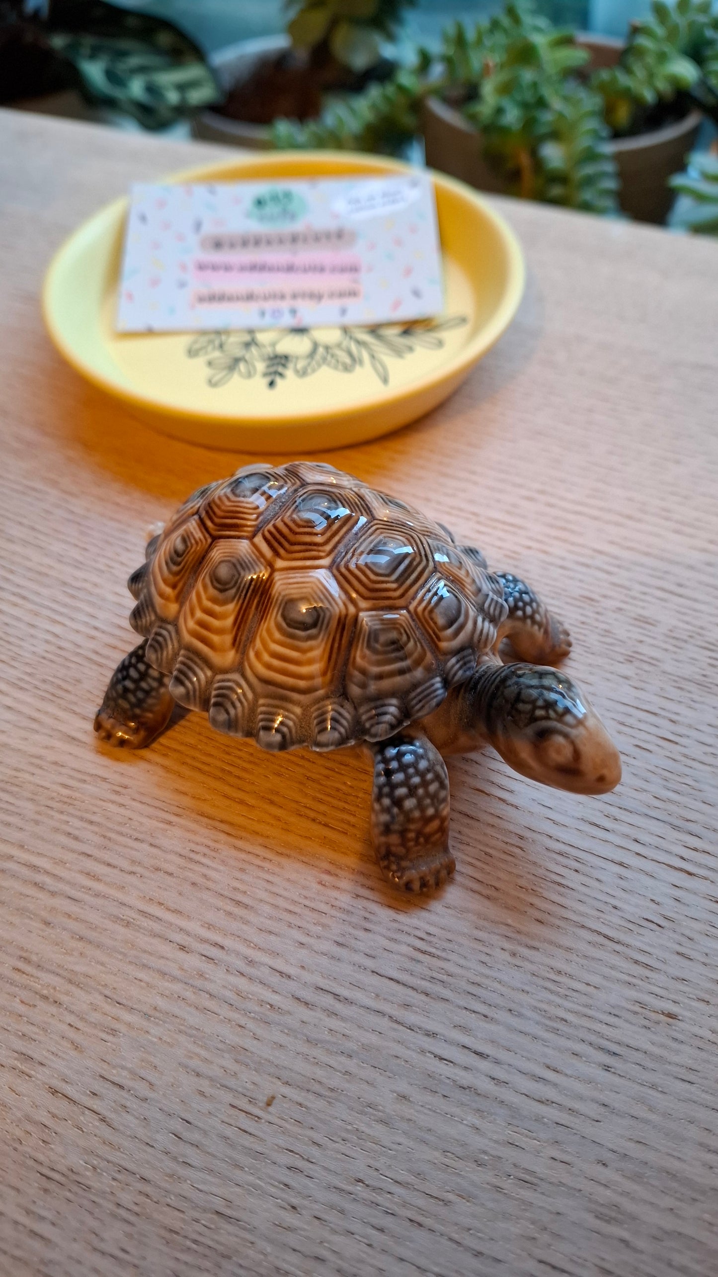 'Willy' Wade Upcycled Tortoise Trinket Pot