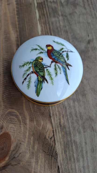 'Cunt' Upcycled Parrot Trinket Pot