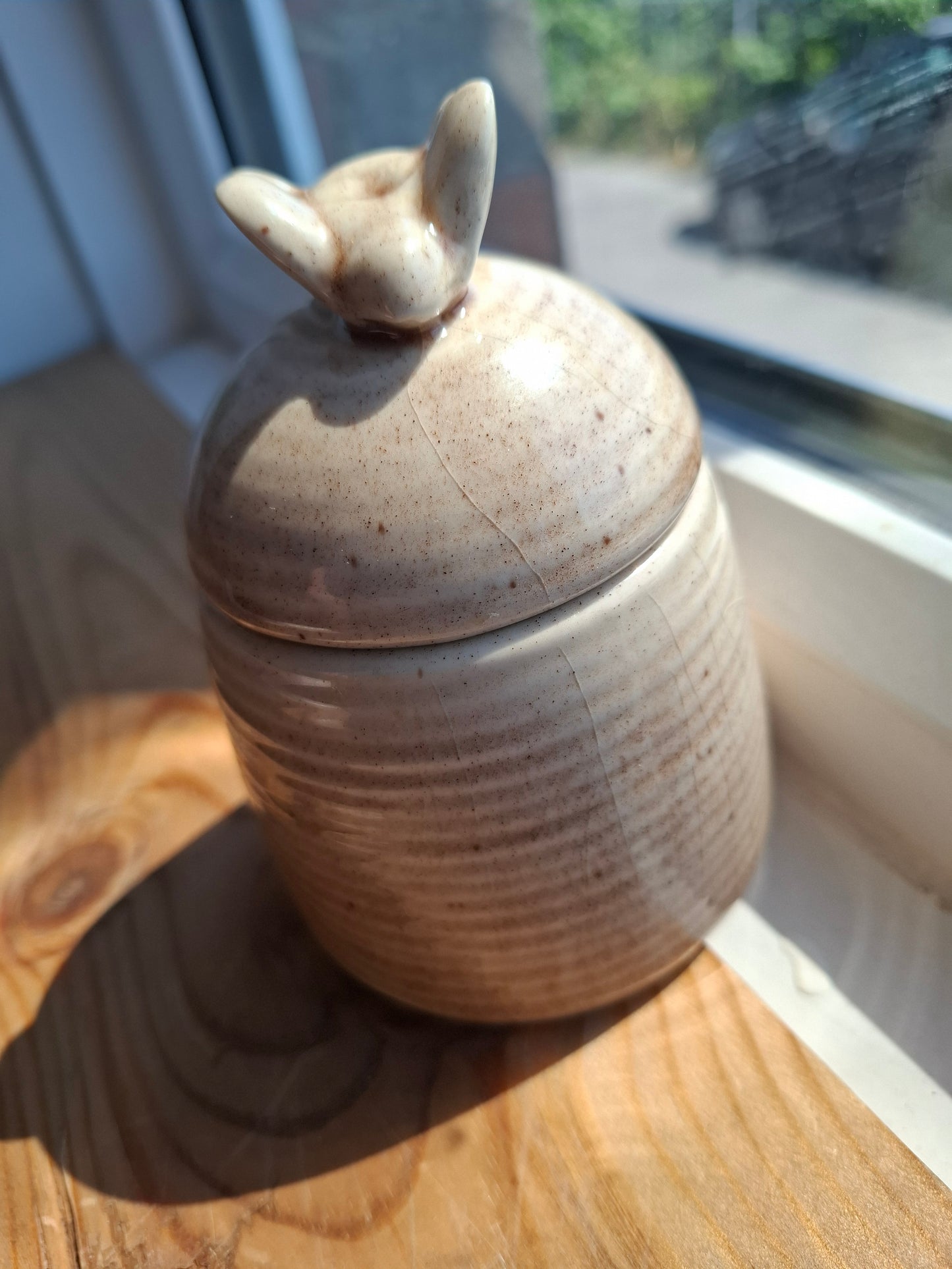 'Cunt' Upcycled Ceramic Bee Hive Pot
