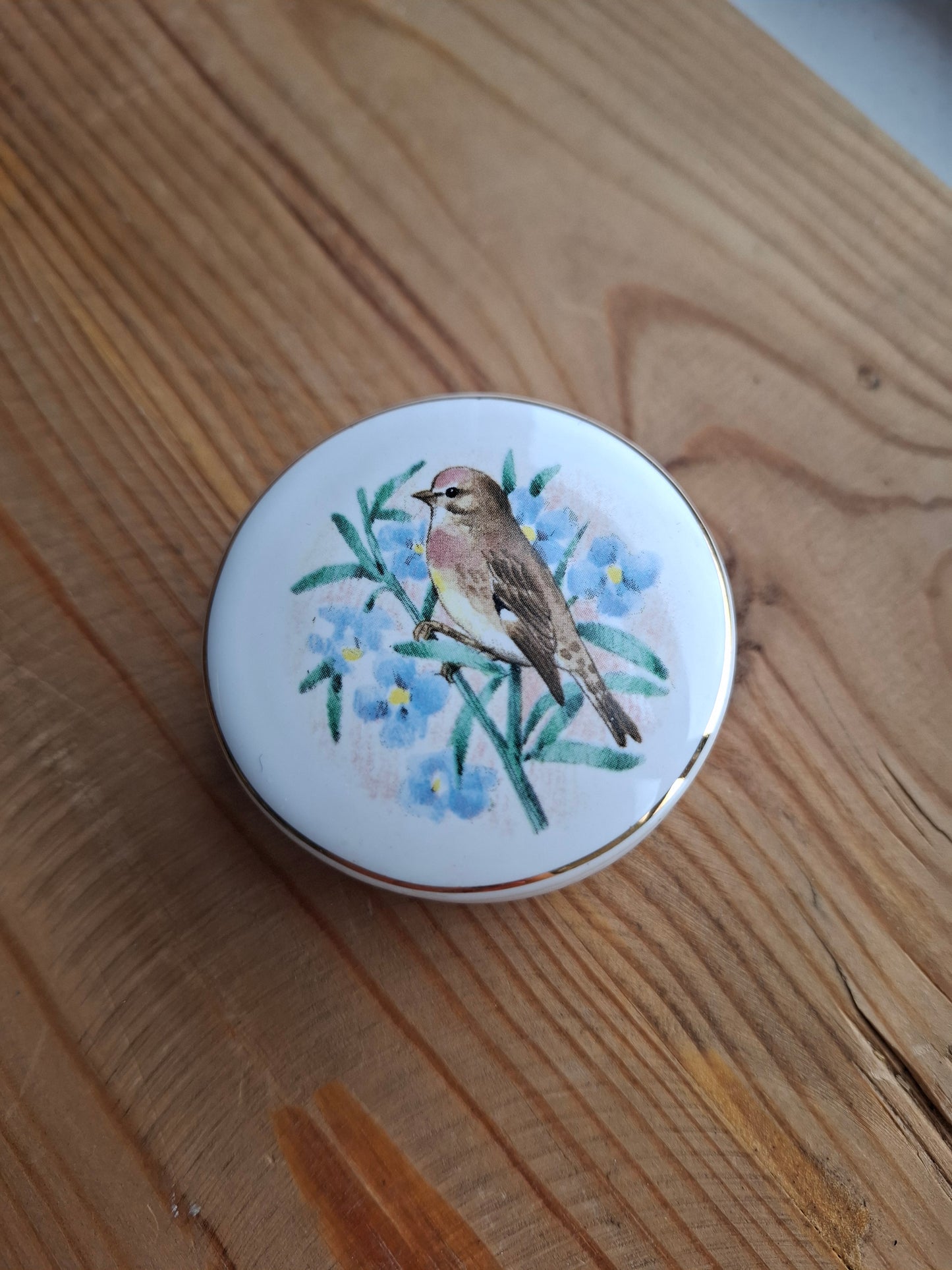 'Twat' Upcycled Bird (Life Is Sweet) Trinket Pot