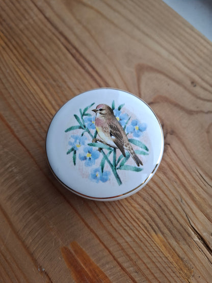 'Twat' Upcycled Bird (Life Is Sweet) Trinket Pot