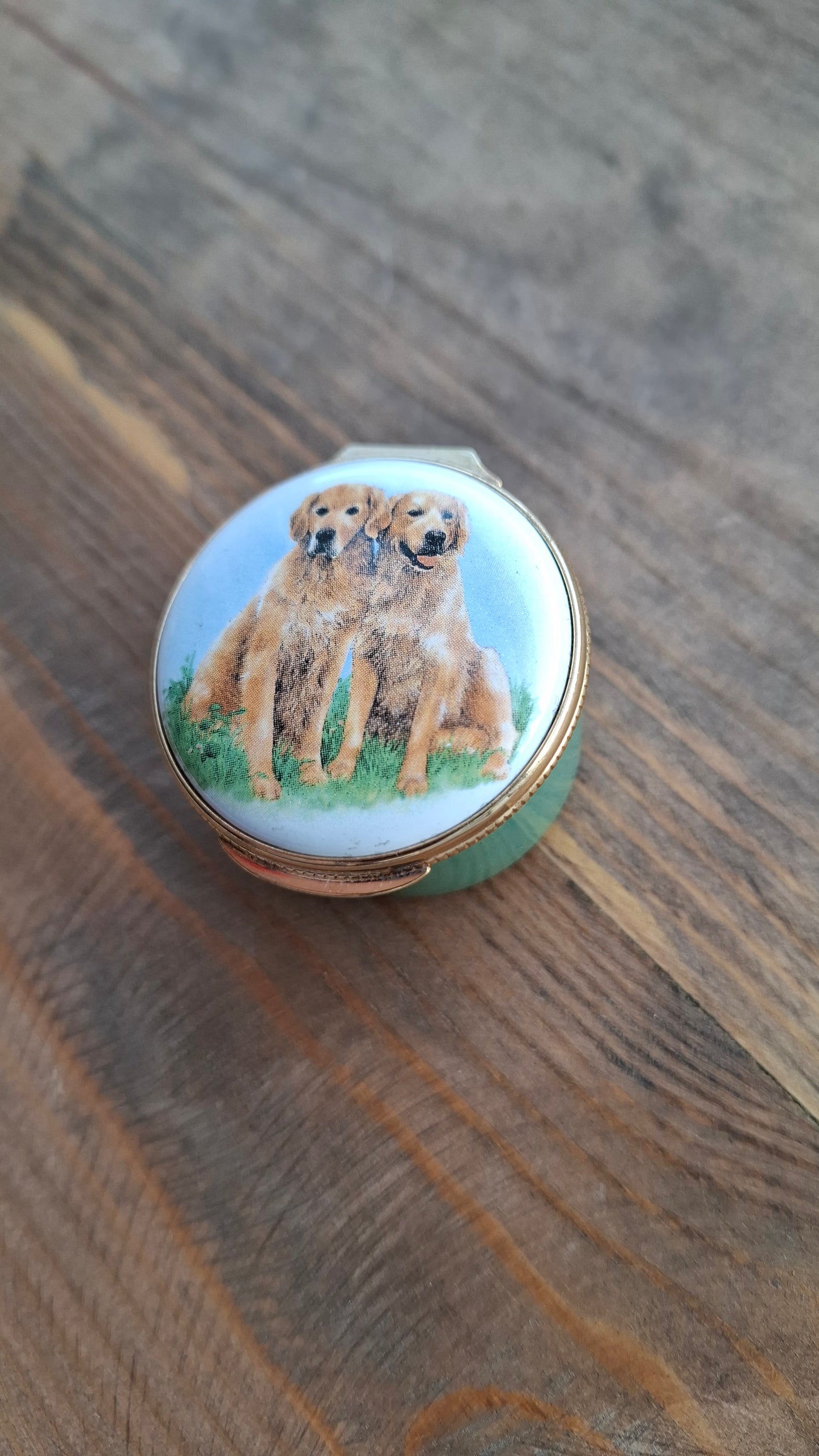 'Cunt' Upcycled Golden Retriever Trinket Pot