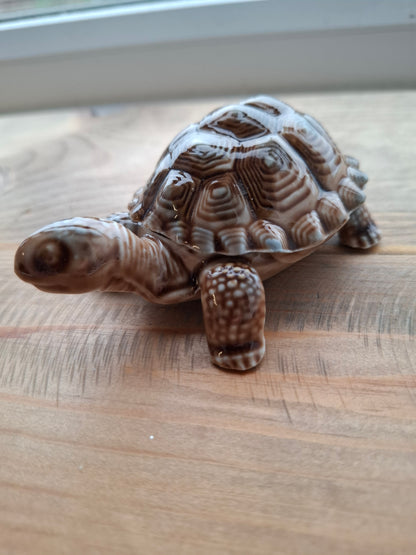 'Willy' Brown Wade Upcycled Tortoise Trinket Box