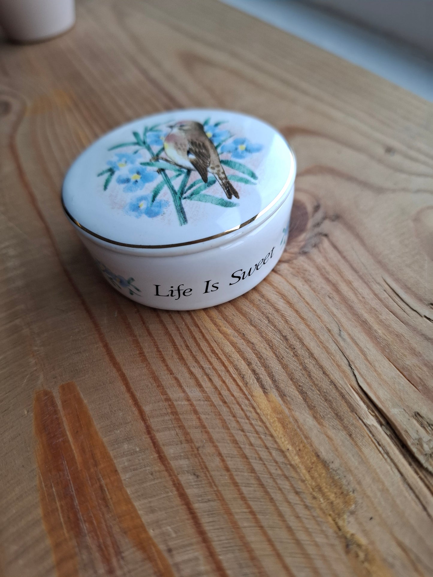 'Twat' Upcycled Bird (Life Is Sweet) Trinket Pot
