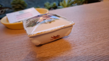 'Twat' Upcycled Square Bird Trinket Pot