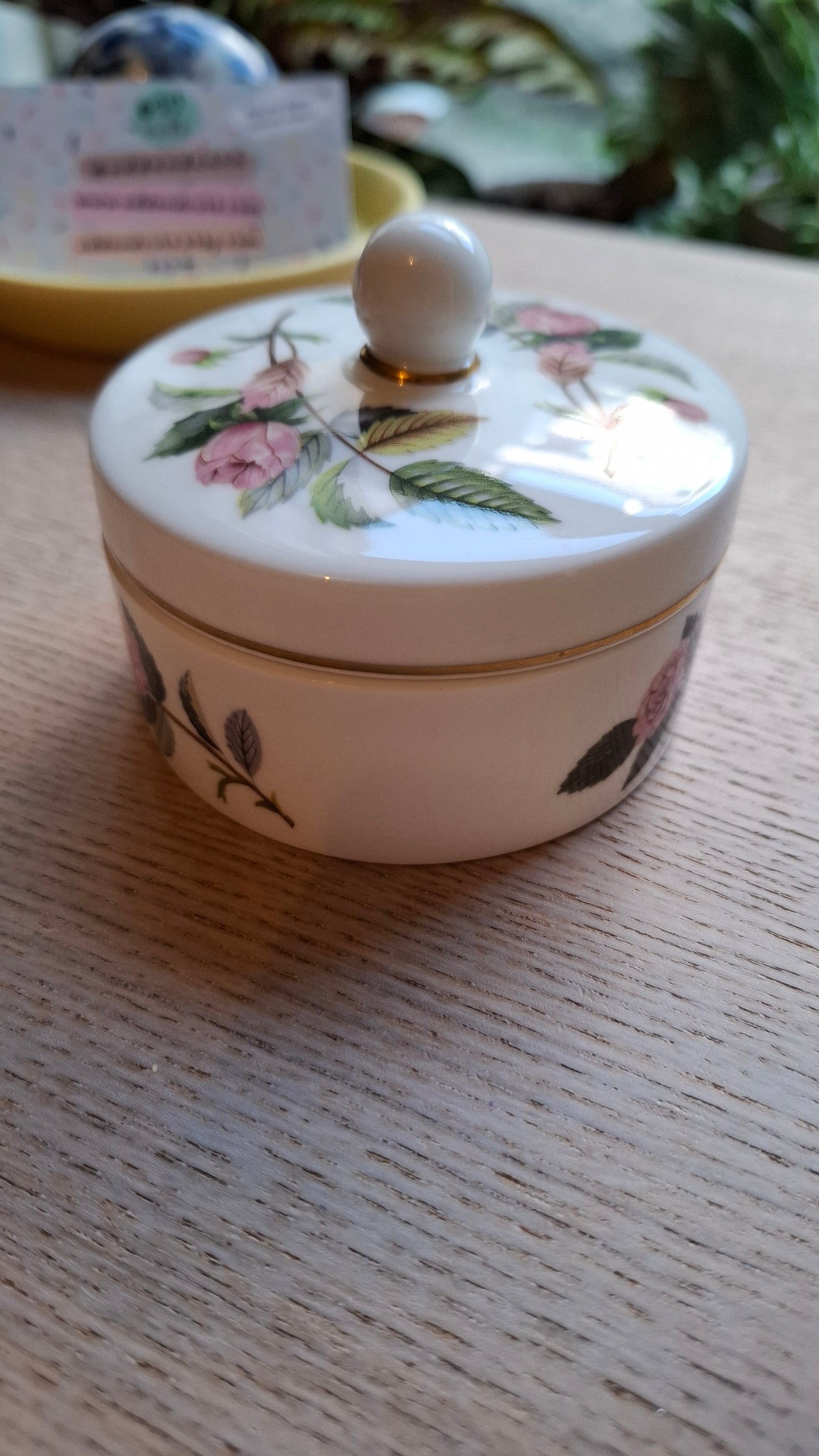 'Cunt' Upcycled Wedgwood Trinket Pot With Cute Lid