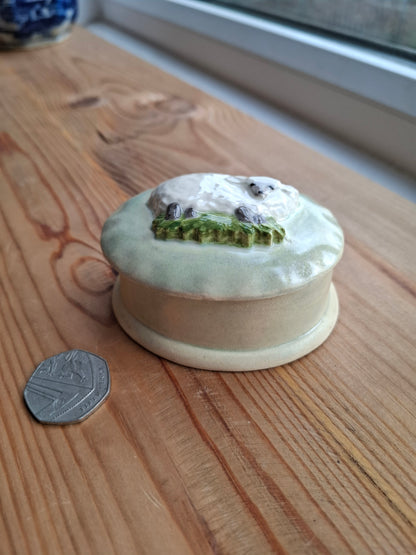 'Twat' Upcycled Sheep Oval Trinket Pot