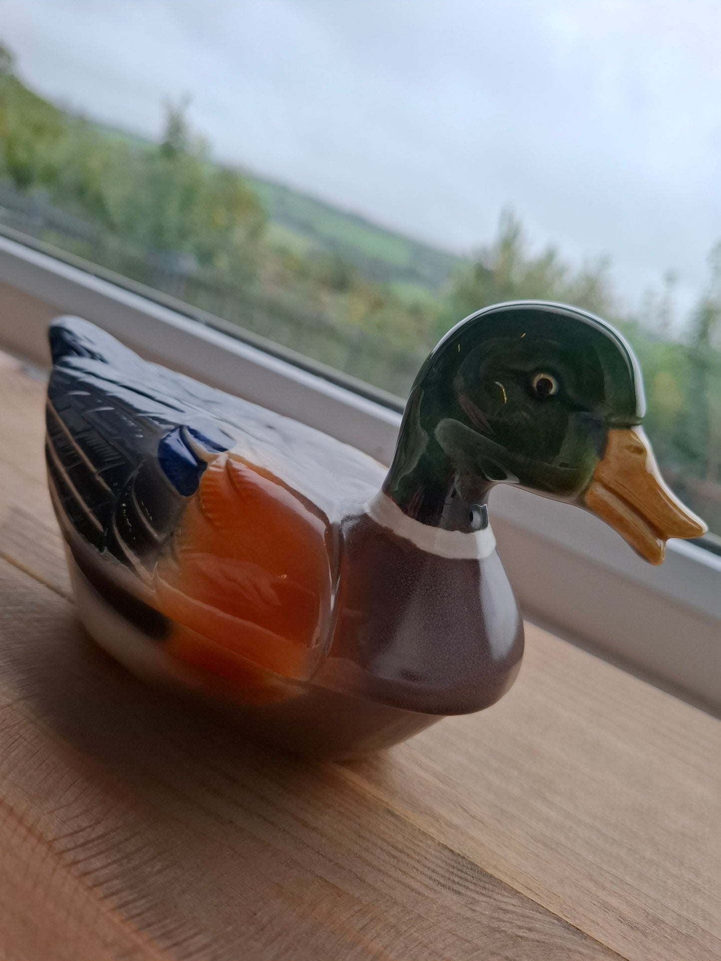 'Cunt' Upcycled Mallard Duck Trinket Pot