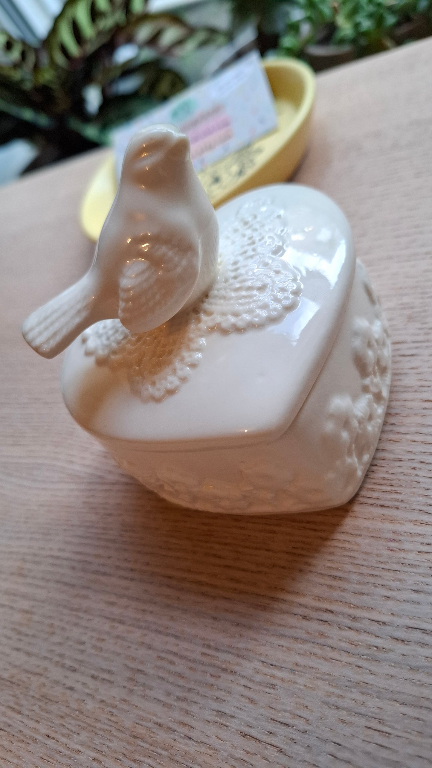 'Sugar Tits' Upcycled White Bird Trinket Pot