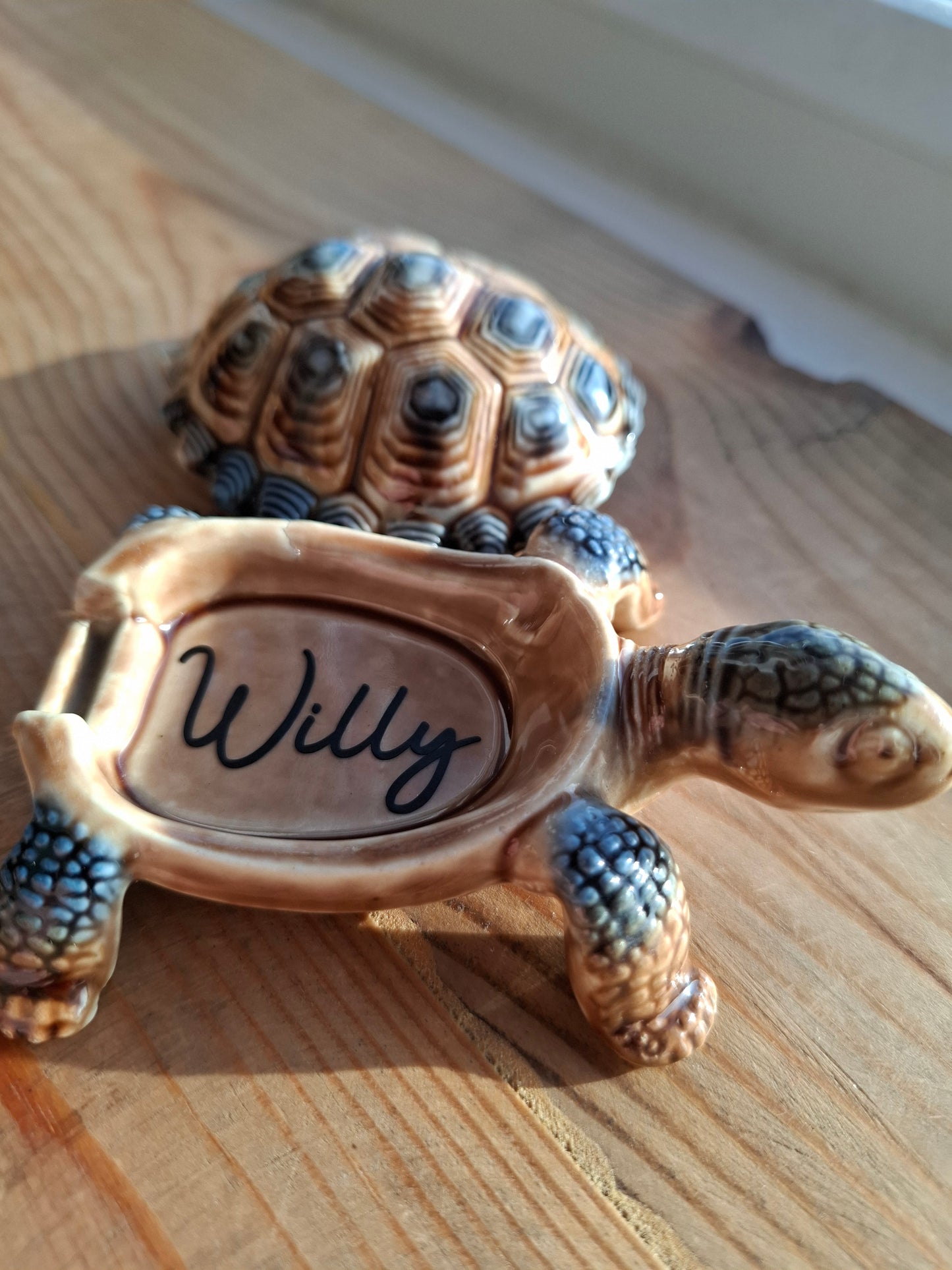 'Willy' Brown/Bluey Wade Upcycled Tortoise Trinket Box