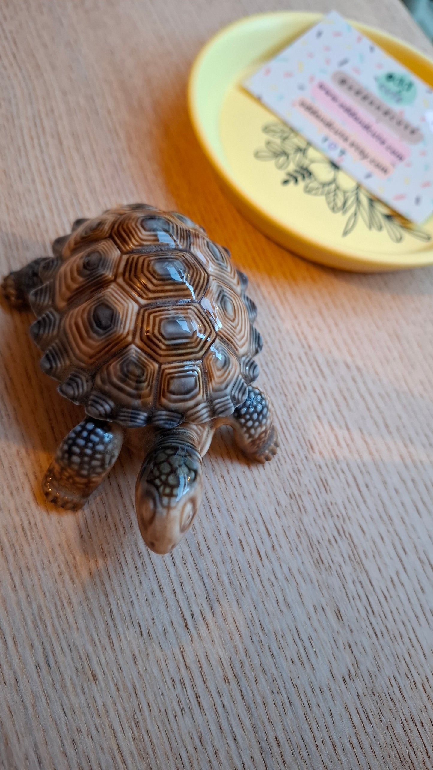 'Willy' Wade Upcycled Tortoise Trinket Pot