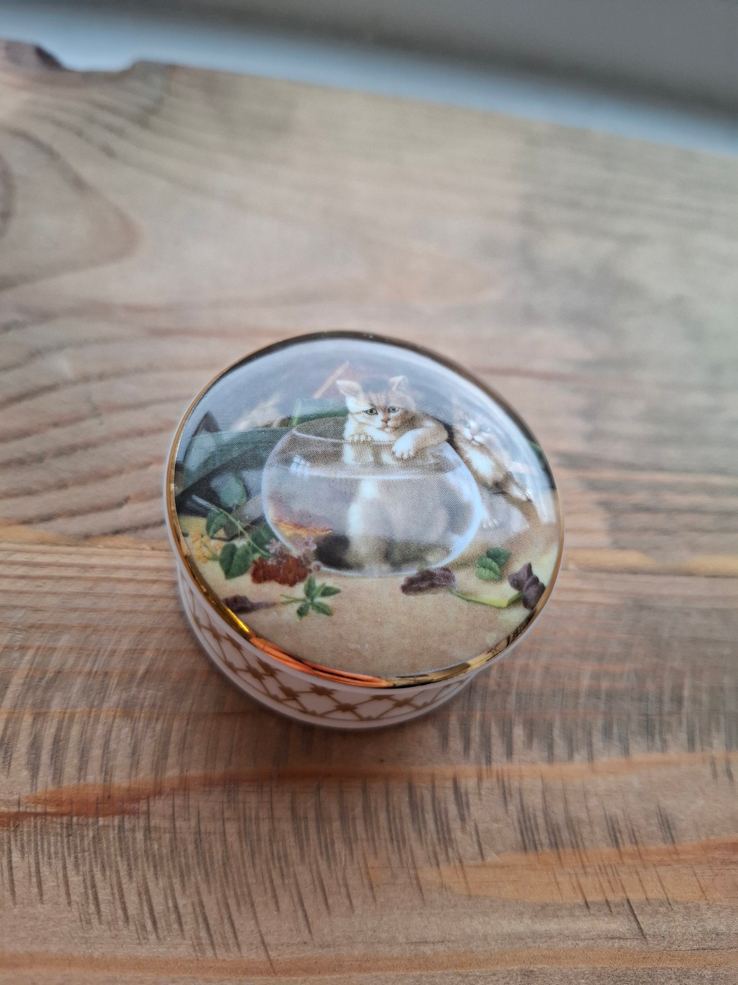 'Cunt' Upcycled Small Cat In A Fish Bowl Trinket Pot