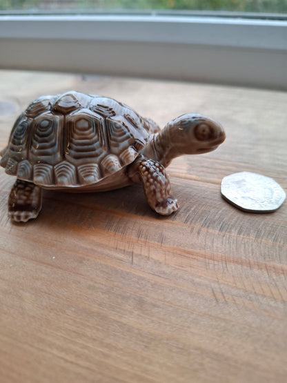 'Willy' Brown Wade Upcycled Tortoise Trinket Box