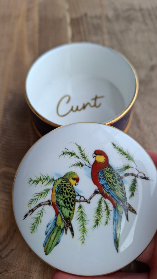 'Cunt' Upcycled Parrot Trinket Pot