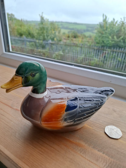 'Cunt' Upcycled Mallard Duck Trinket Pot