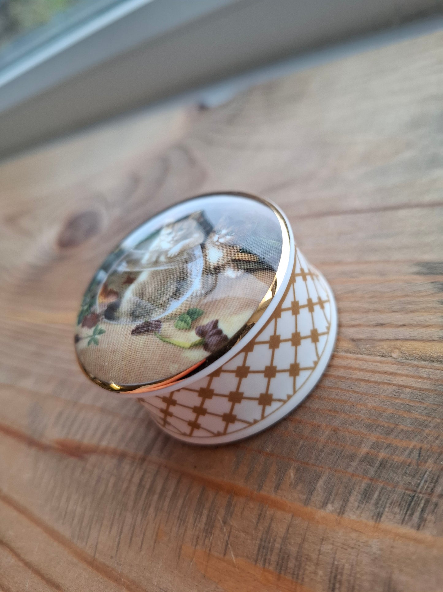 'Cunt' Upcycled Small Cat In A Fish Bowl Trinket Pot