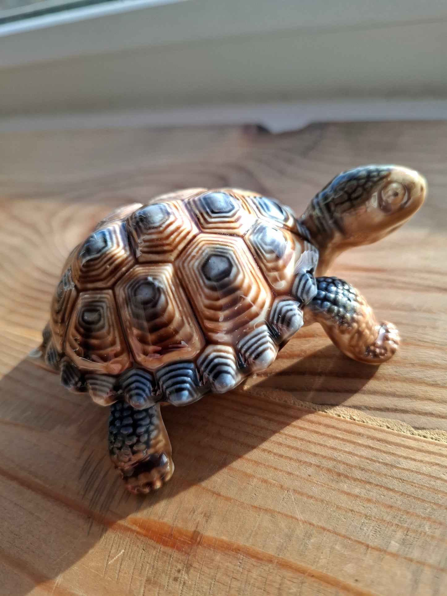 'Willy' Brown/Bluey Wade Upcycled Tortoise Trinket Box
