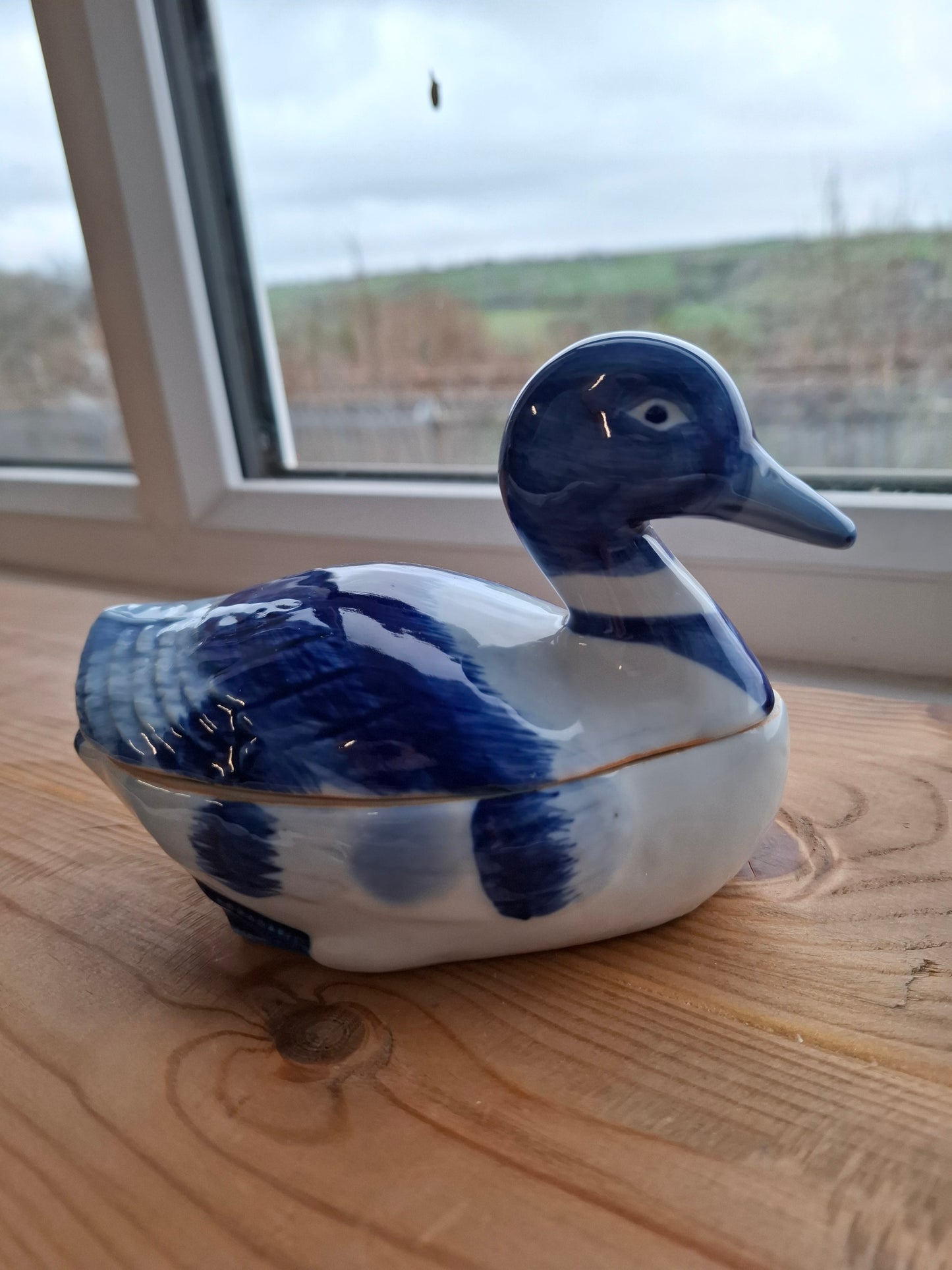 'Fuck A Duck' Upcycled Blue and White Duck Trinket Pot