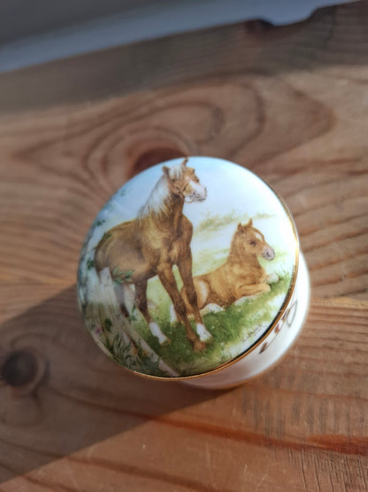 'Twat' Upcycled Small Horse Trinket Pot