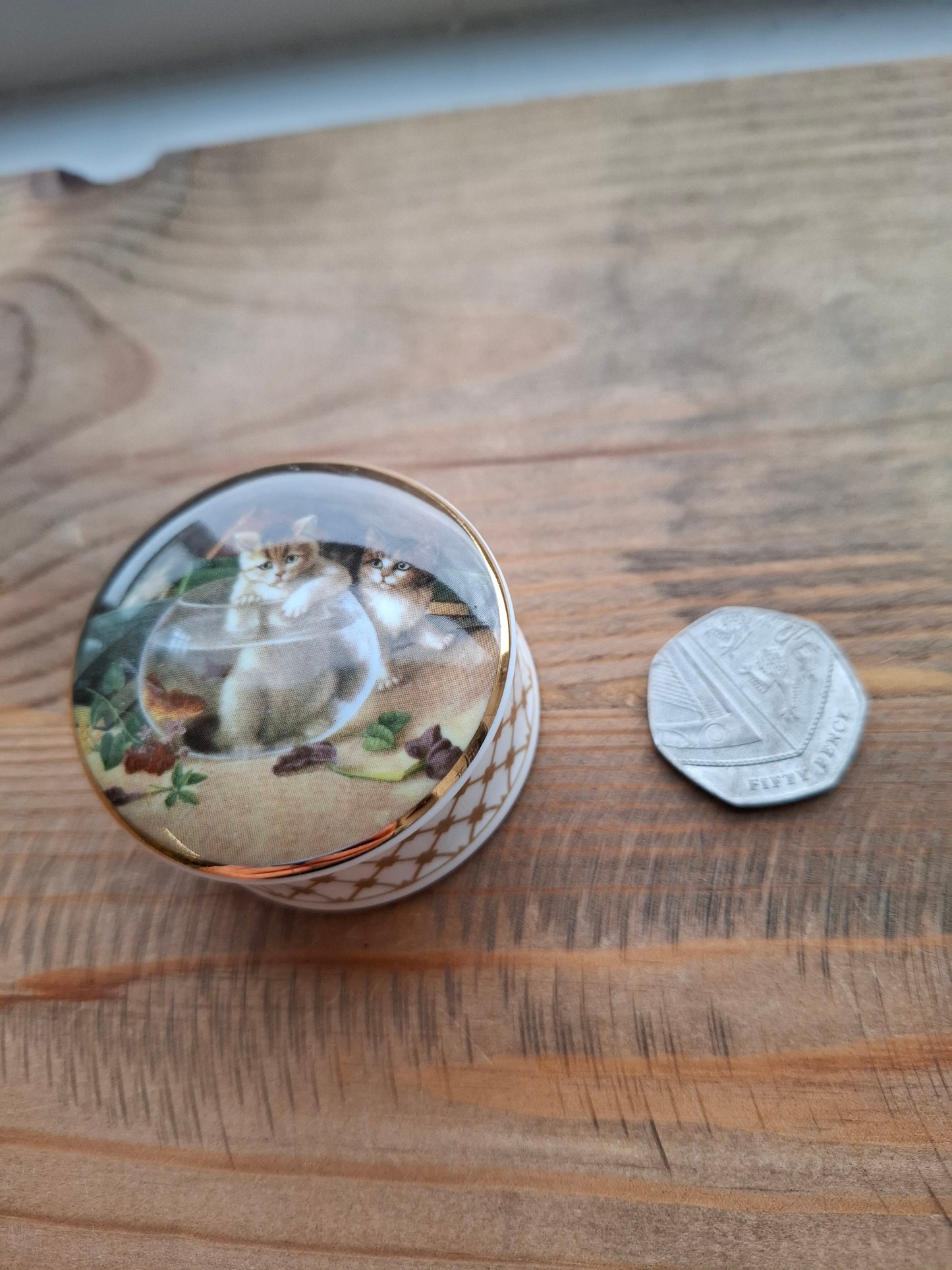 'Cunt' Upcycled Small Cat In A Fish Bowl Trinket Pot