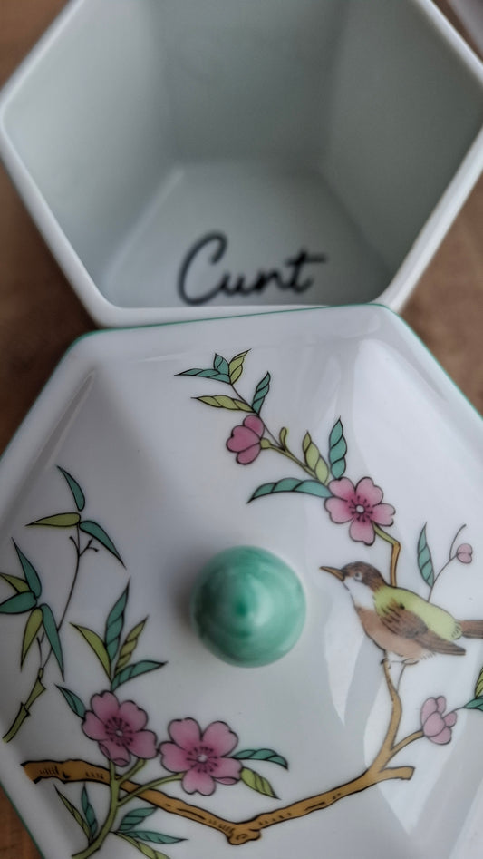 'Cunt' Upcycled Bird Hexagonal Shaped Ceramic Pot