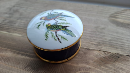 'Cunt' Upcycled Parrot Trinket Pot