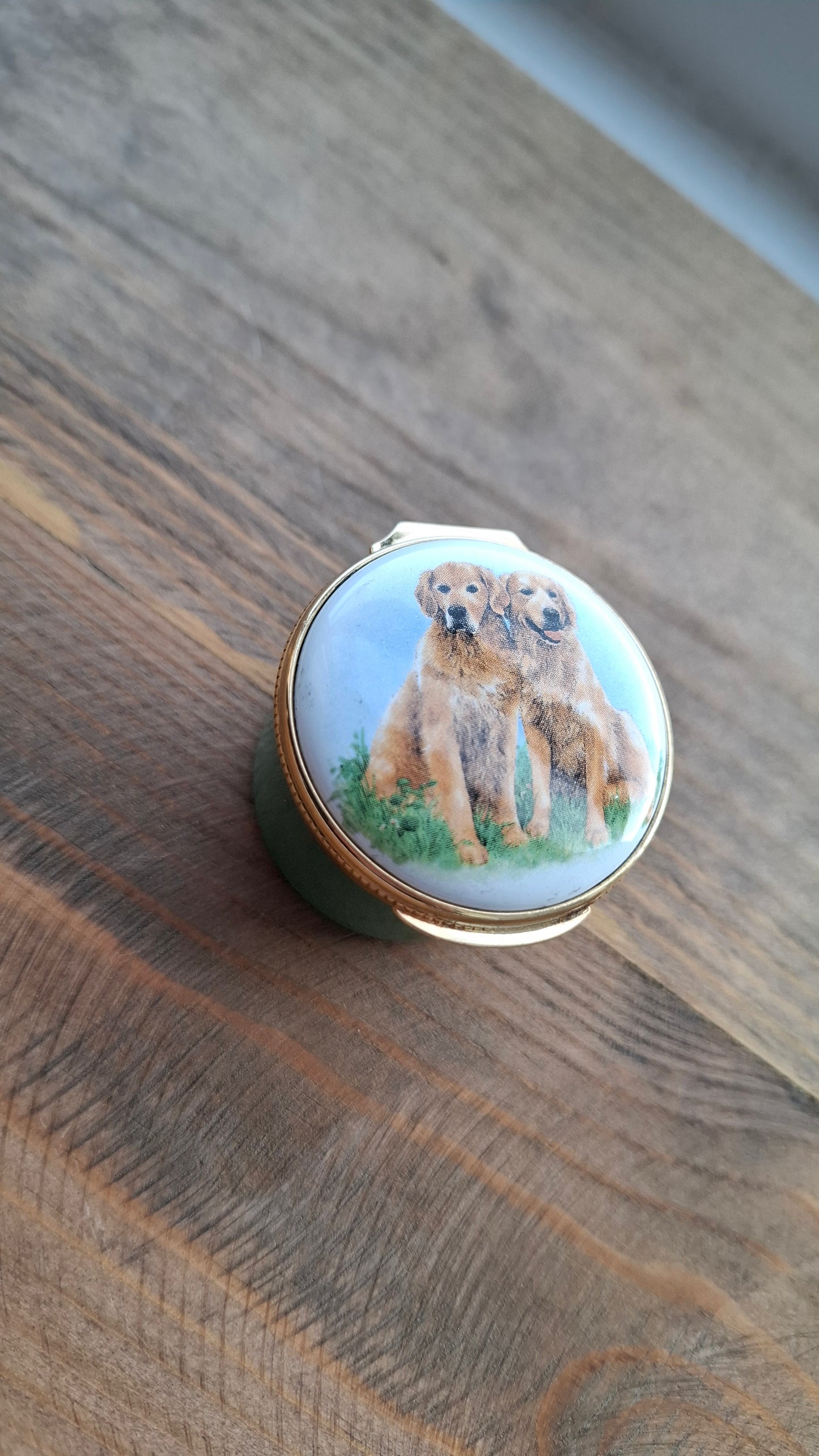 'Cunt' Upcycled Golden Retriever Trinket Pot