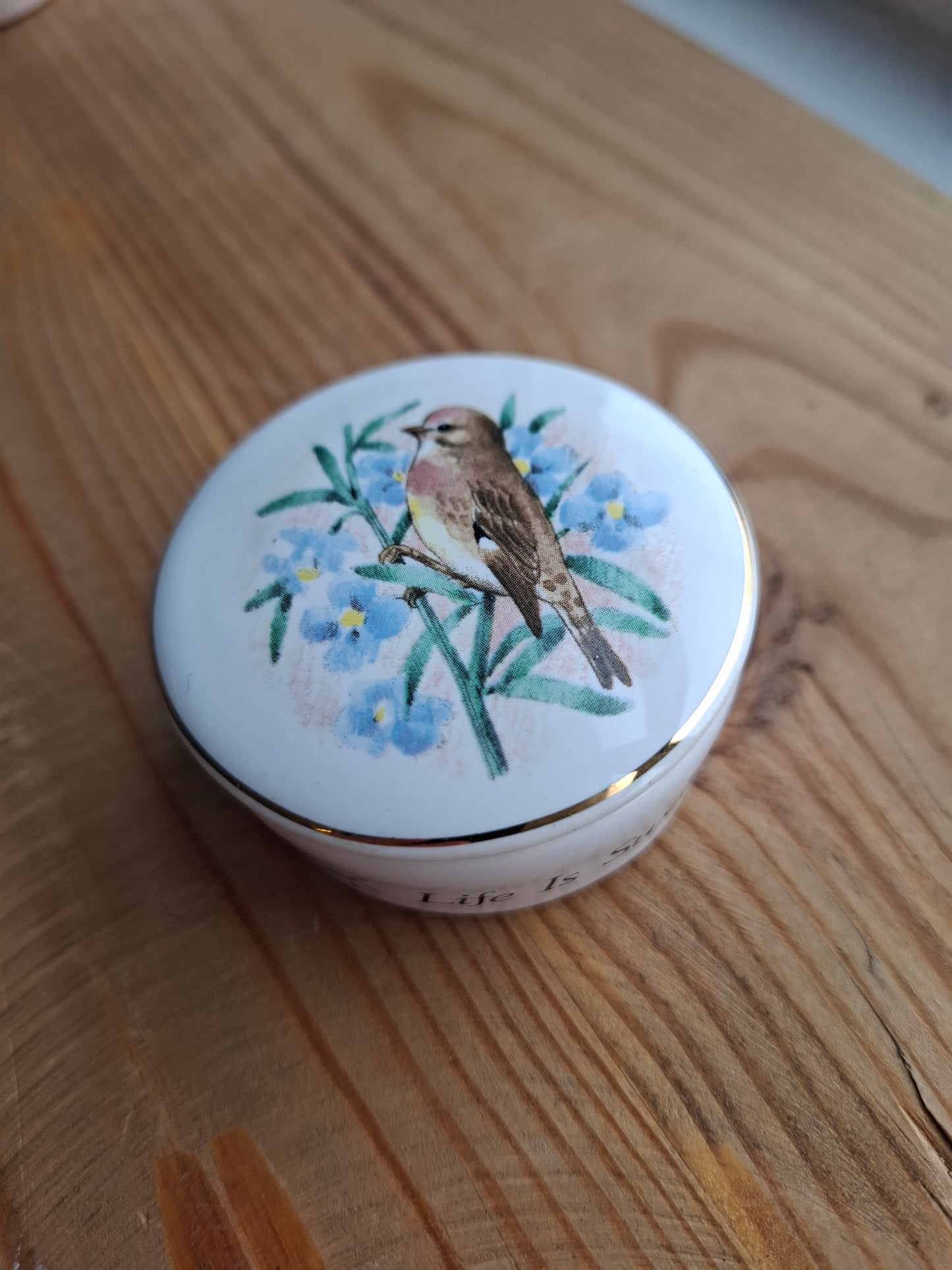 'Twat' Upcycled Bird (Life Is Sweet) Trinket Pot