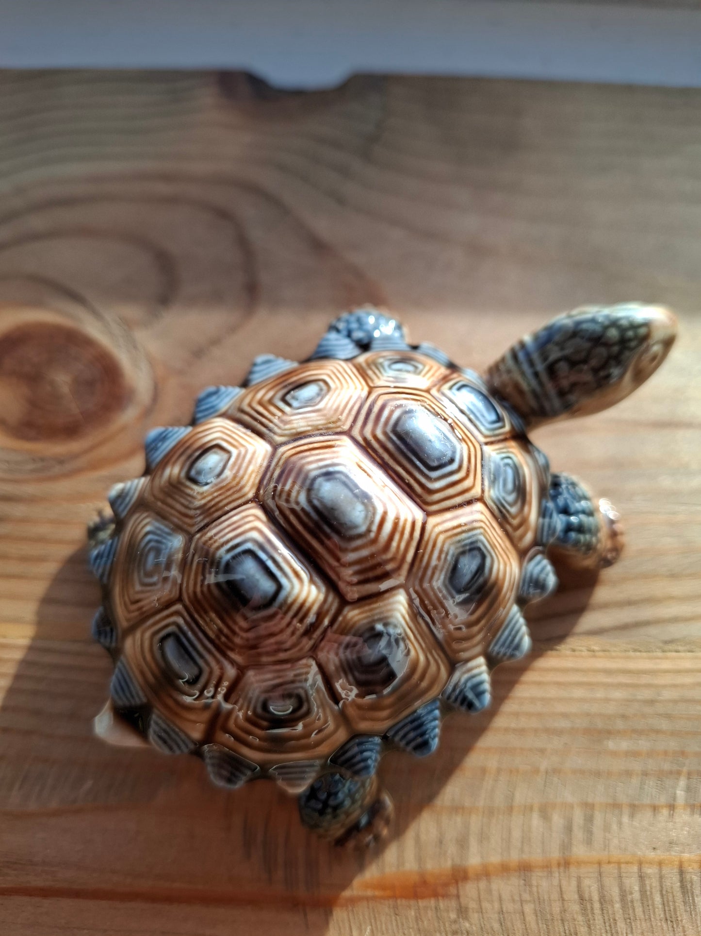'Willy' Brown/Bluey Wade Upcycled Tortoise Trinket Box