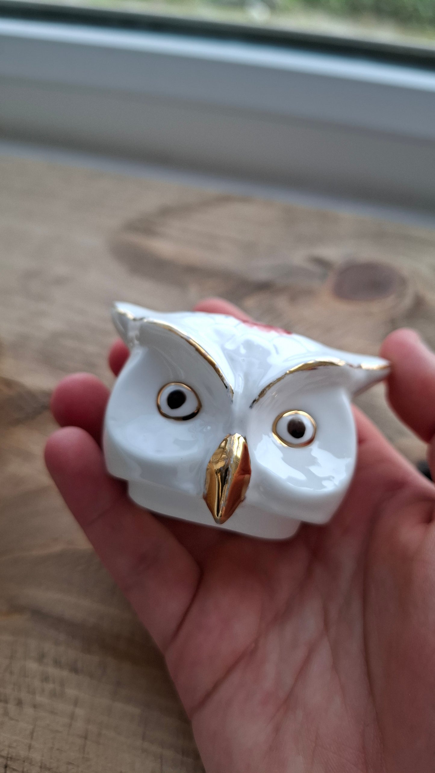 'Cunt' Upcycled Pretty Owl Trinket Pot