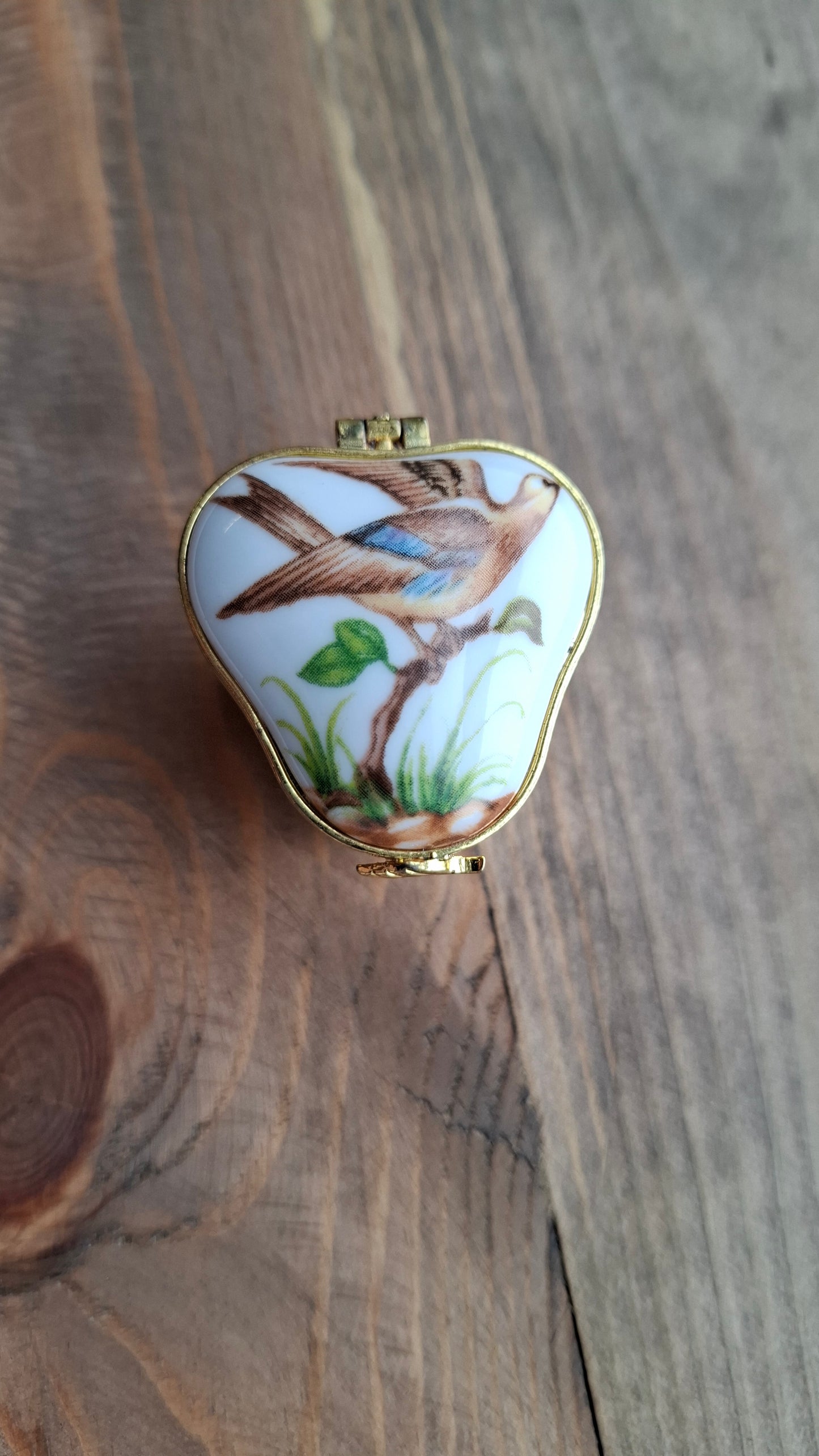 'Twat' Upcycled Unusual Shaped Bird Trinket Pot