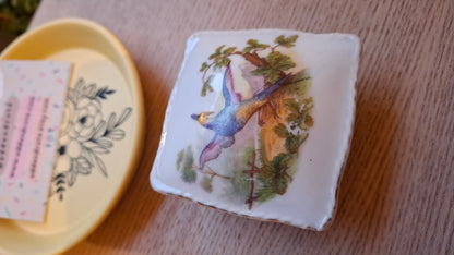 'Twat' Upcycled Square Bird Trinket Pot