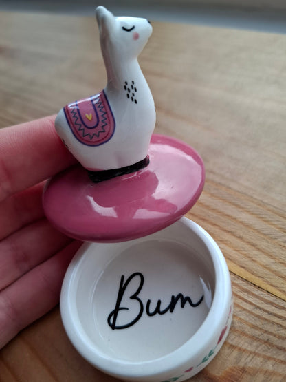 'Bum' Upcycled Llama Trinket Pot