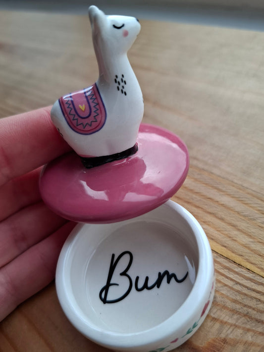 'Bum' Upcycled Llama Trinket Pot