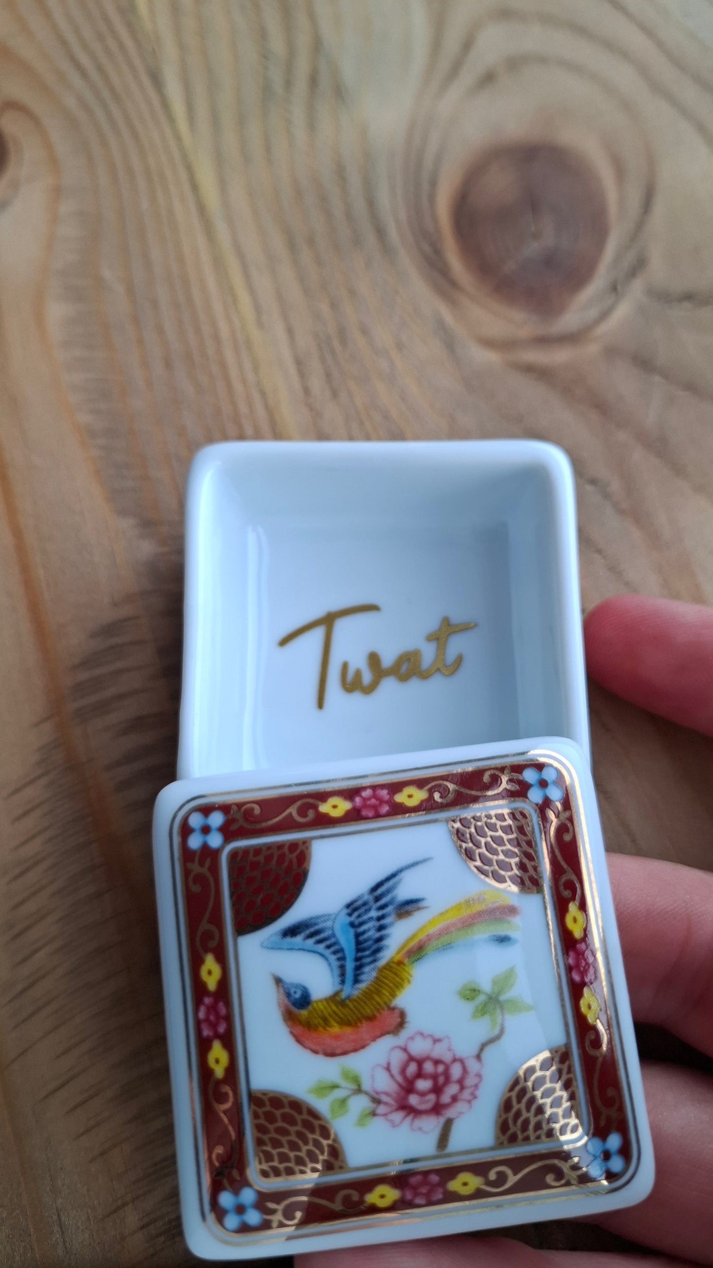 'Twat' Upcycled Little Square Bird Trinket Pot