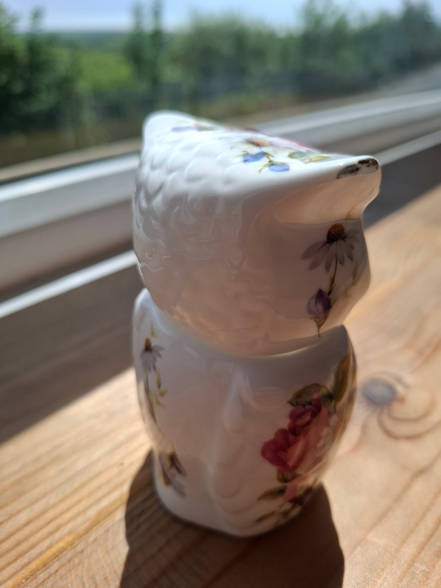 'Cunt' Upcycled Pretty Owl Trinket Pot