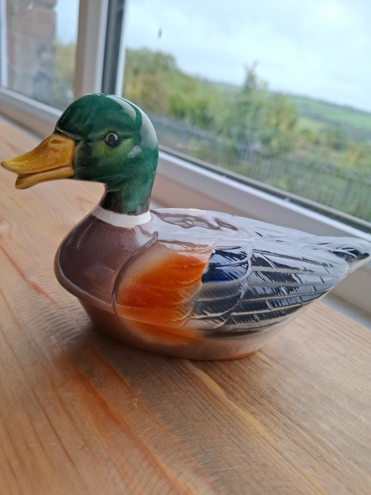'Cunt' Upcycled Mallard Duck Trinket Pot