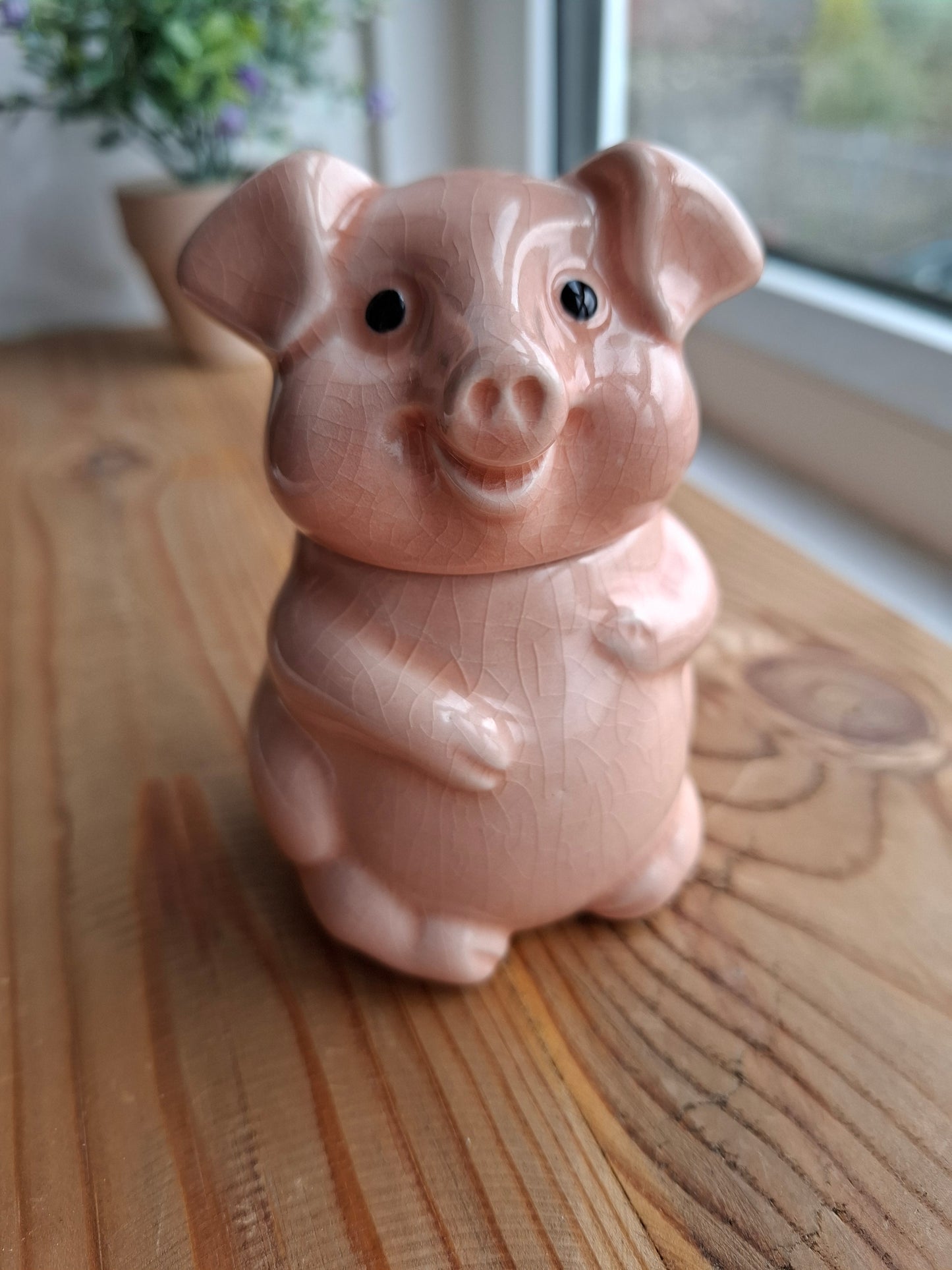 'Cunt' Upcycled Cute Crackly Pig Trinket Pot